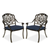 MEETWARM 2 Piece Patio Dining Chairs, Outdoor All-Weather Cast Aluminum Chairs, Patio Bistro Dining Chair Set Of 2 For Deck Garden Backyard - Thumbnail Image 2