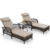 Dark Brown Wicker/Beige Cushion